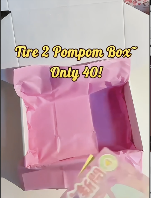 Pompompurin Mystery Gift Box Tire 2 ➜