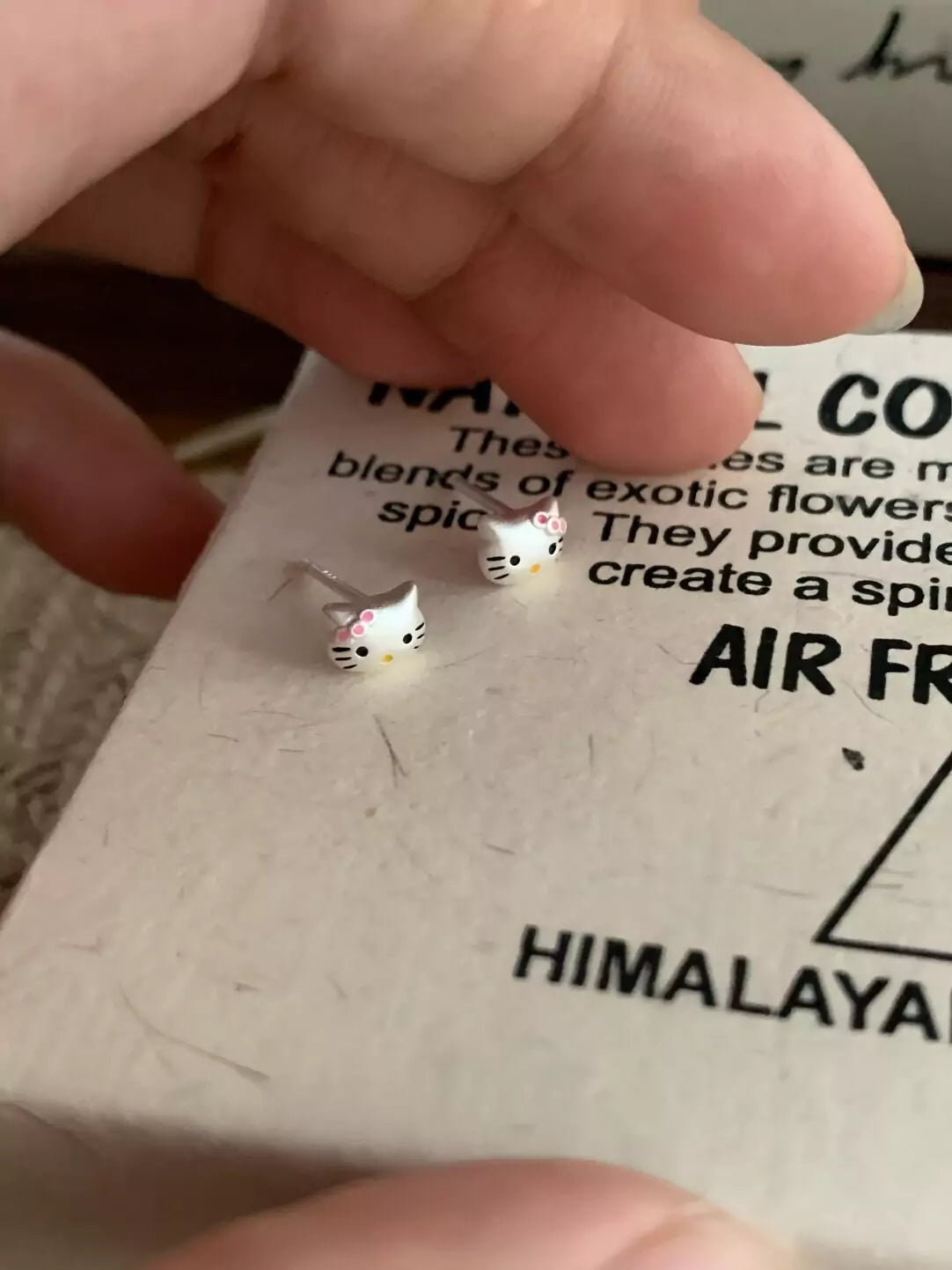 Silver HK Stud Earrings– Matte Finish