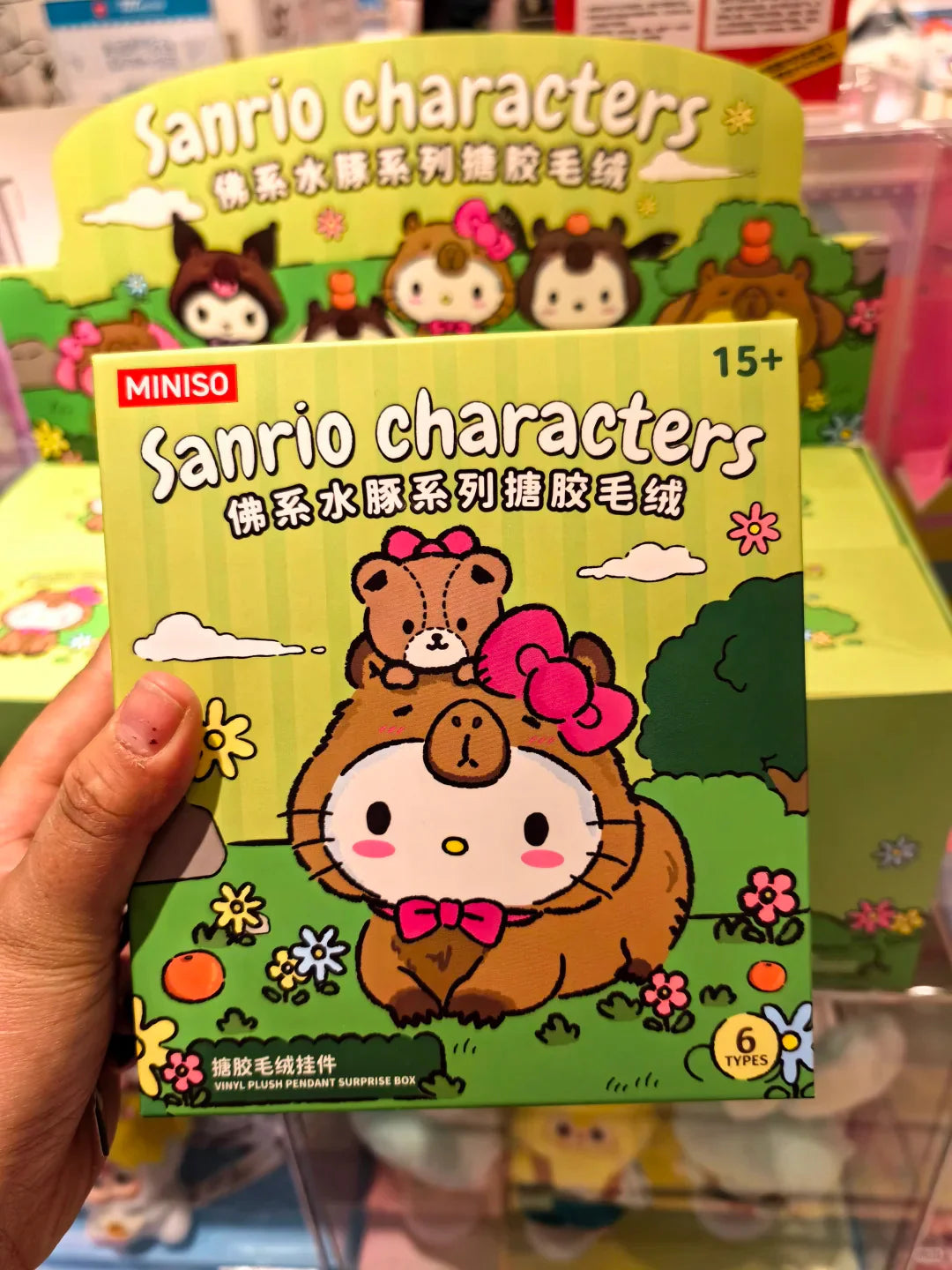 Sanrio Zen Forest  Capybara Plush Blind Box