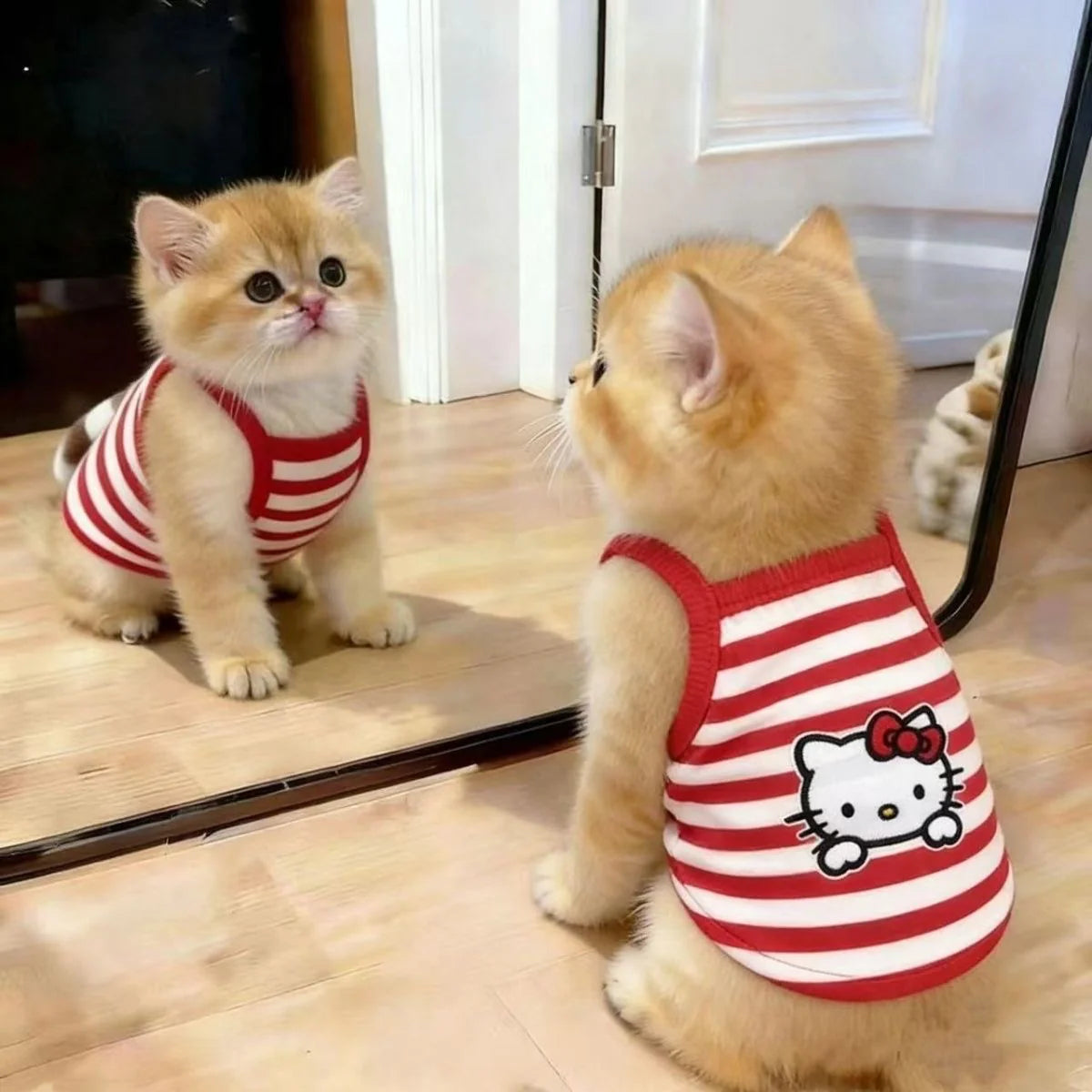 Hello Kitty Breathable Striped Pet Vest for Small Dogs & Cats
