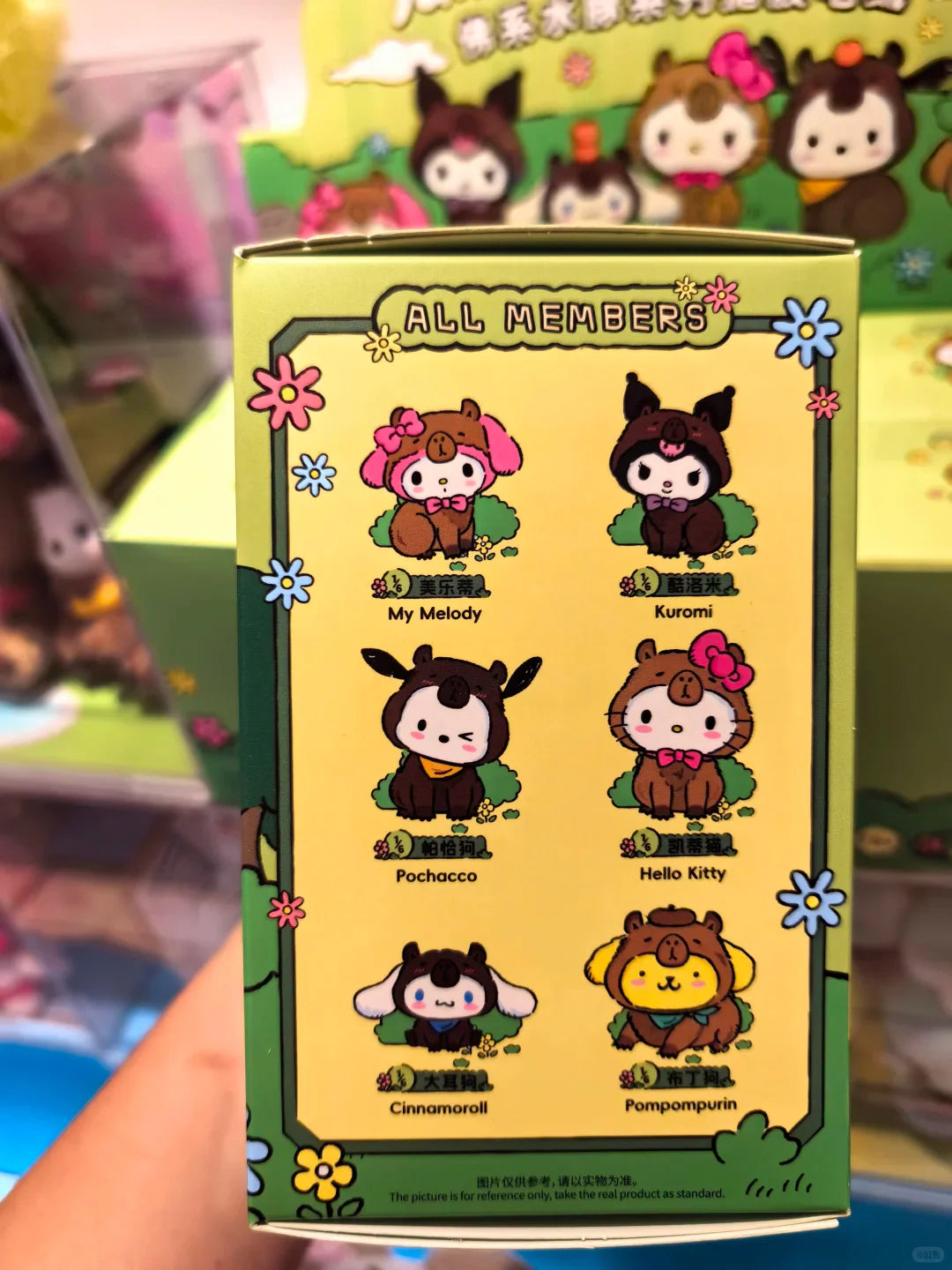 Sanrio Zen Forest  Capybara Plush Blind Box