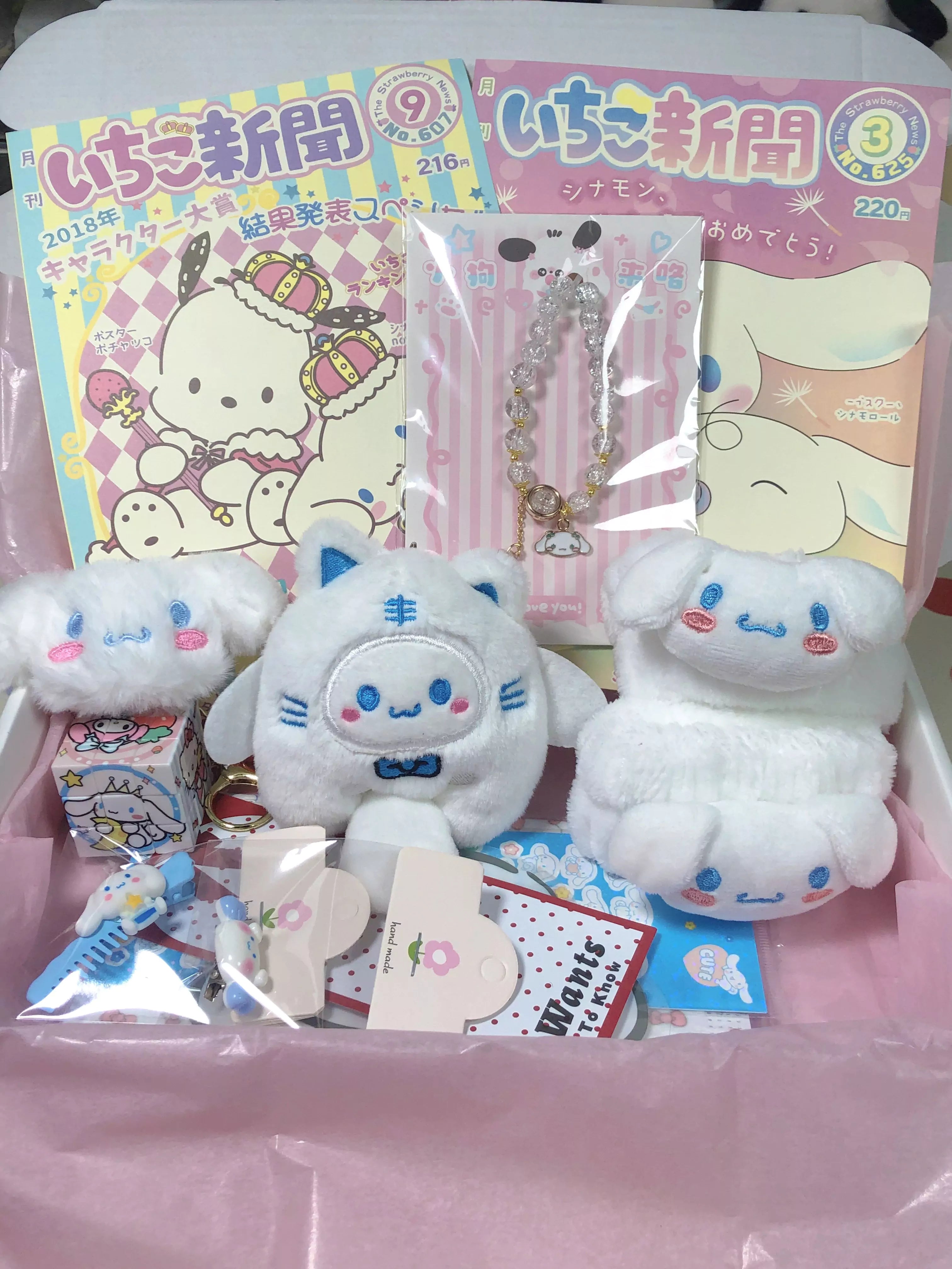 Cinnamoroll Mystery Gift Box – In Kawaii Shop