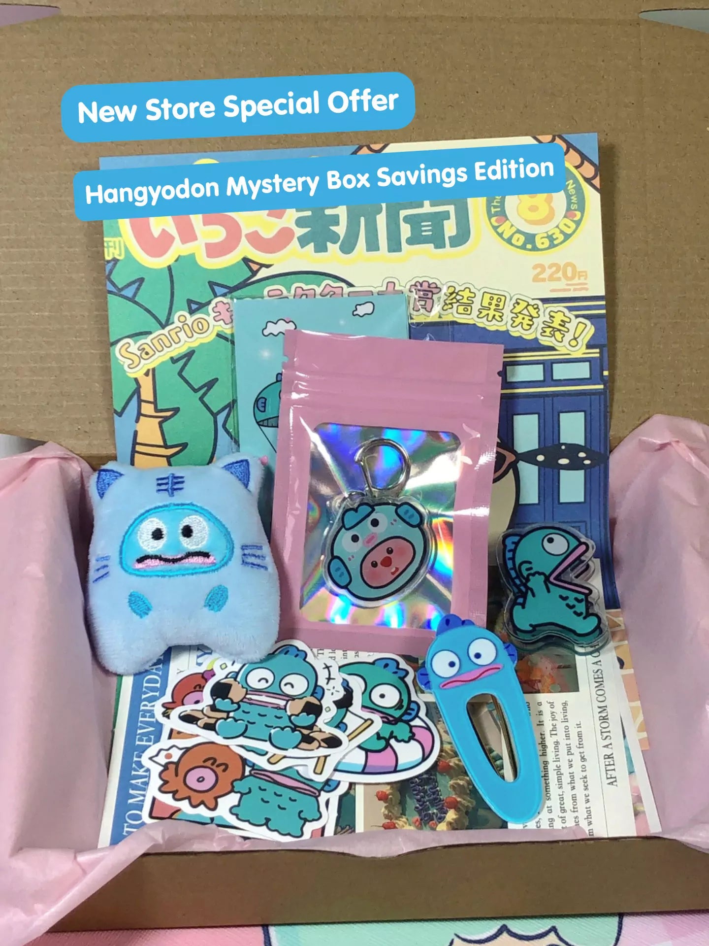 Sanrio Mystery Gift Box – GoodChoyice