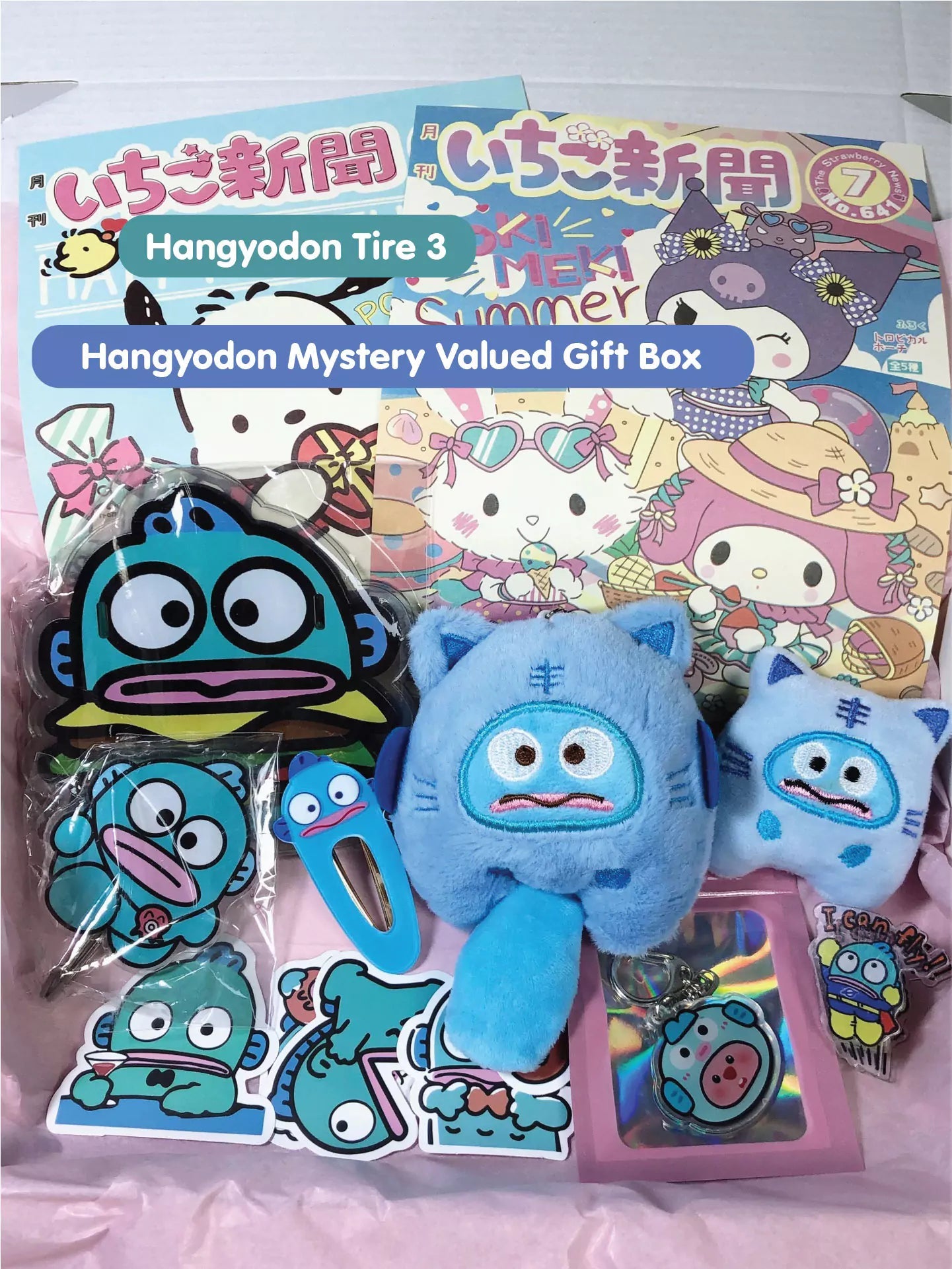 Hangyodon Mystery Gift Box