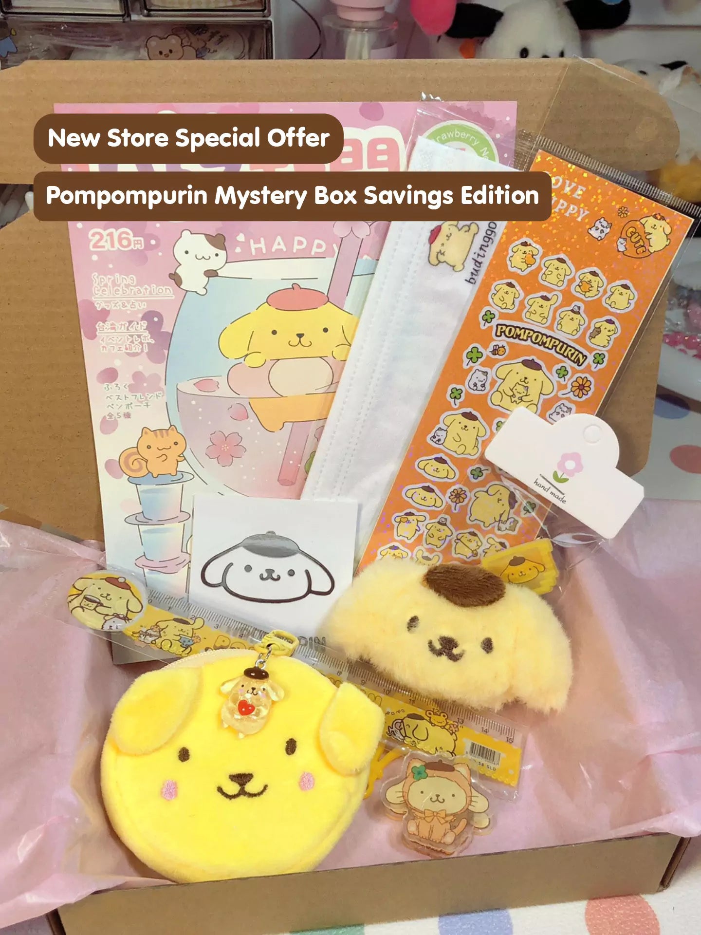 Sanrio Mystery Box (15 USD Version)